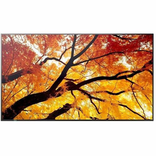 NEC Display PN-M752 1905 mm LCD Digital-Signage-Display - 3840 x 2160 - Direct-LED - 550 cd/m² - 2160p