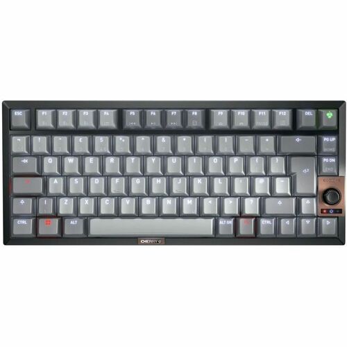 CHERRY G80-3960 Keyboard - Compact - Wired/Wireless Connectivity - USB Interface - Black, Grey - MX2A Red Keyswitch - Blue