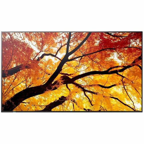 Sharp NEC Display MultiSync M432 1092.20 mm LCD Digital Signage Display - In-plane Switching (IPS) Technology - 3840 x 216