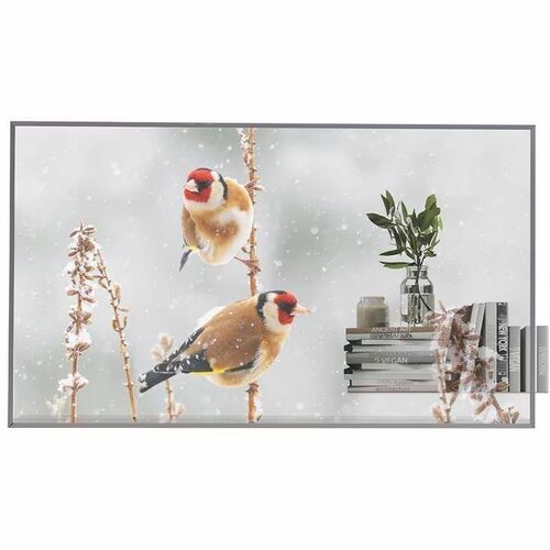 LG 55EW5P-M Digital Signage Display - 55" OLED - OLED - 18 Hours/7 Days Operation - 1920 x 1080 - 16:9 - 100 µs - 600 Nit 