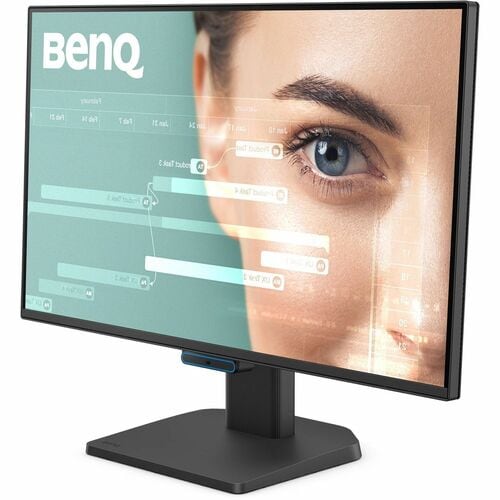 BenQ GW2490C 24.0" (61.0 cm) Class Full HD LED Monitor - 16:9 - 23.8" (60.5 cm) Viewable - In-plane Switching (IPS) Techno