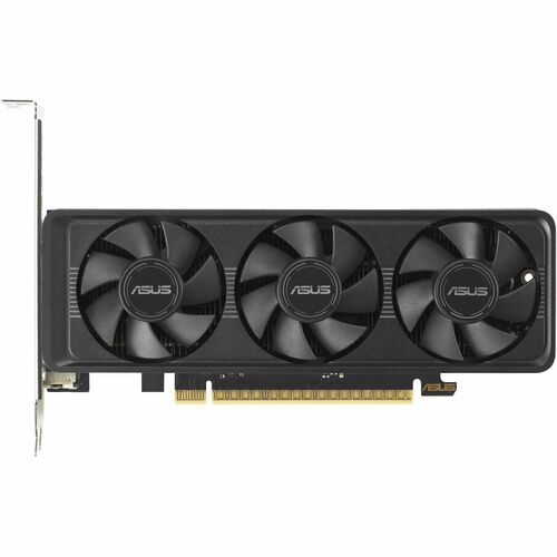 ASUS GeForce RTX 5060 8GB OC and Low Profile edition with Bracket