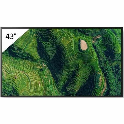 Sony Pro Bravia FW43BZ35PB 1092,20 mm LCD Digital-Signage-Display - 24 Stunden/7 Tage Betrieb - Energy Star - IPS-Technolo